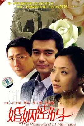 《婚姻密码》：揭开围城下的秘密，探讨婚姻的真相与救赎