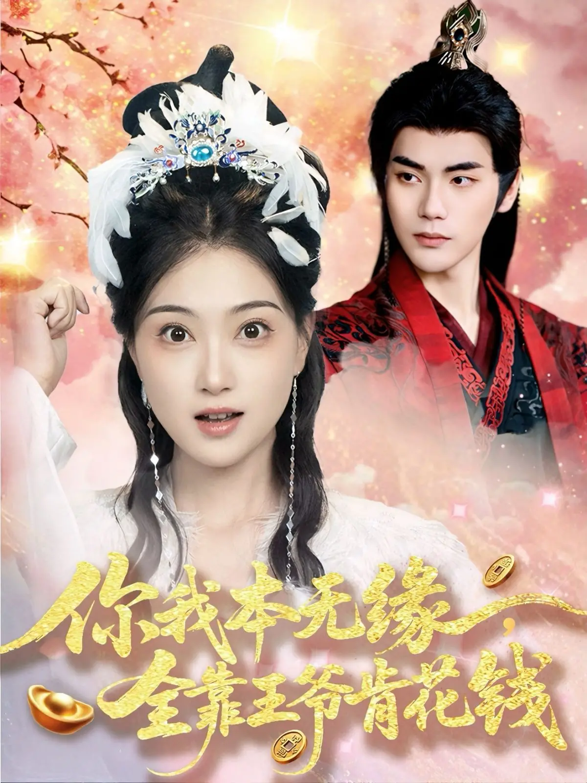 《你我本无缘全靠王爷肯花钱》：霸道王爷的追妻之路，甜宠剧情高能来袭！