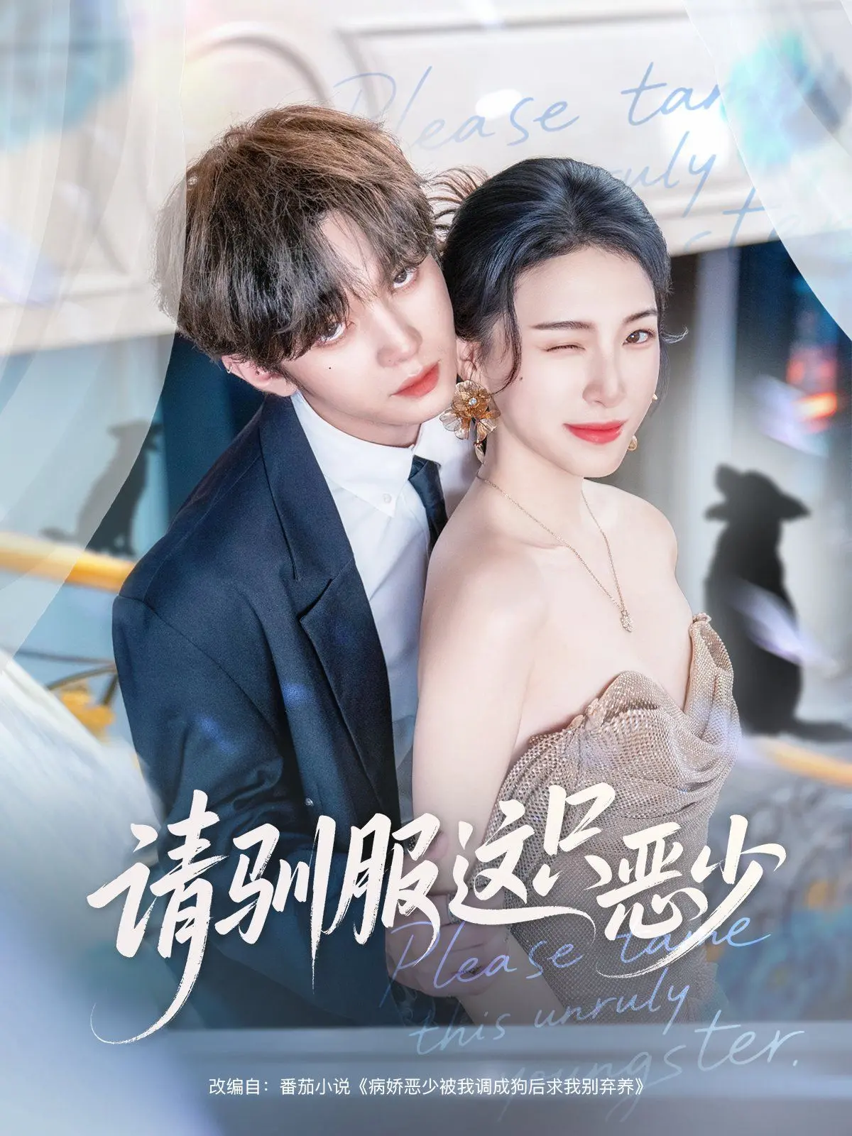 《请驯服这只恶少》：甜宠升级！看傲娇少爷如何被古灵精怪少女彻底征服！